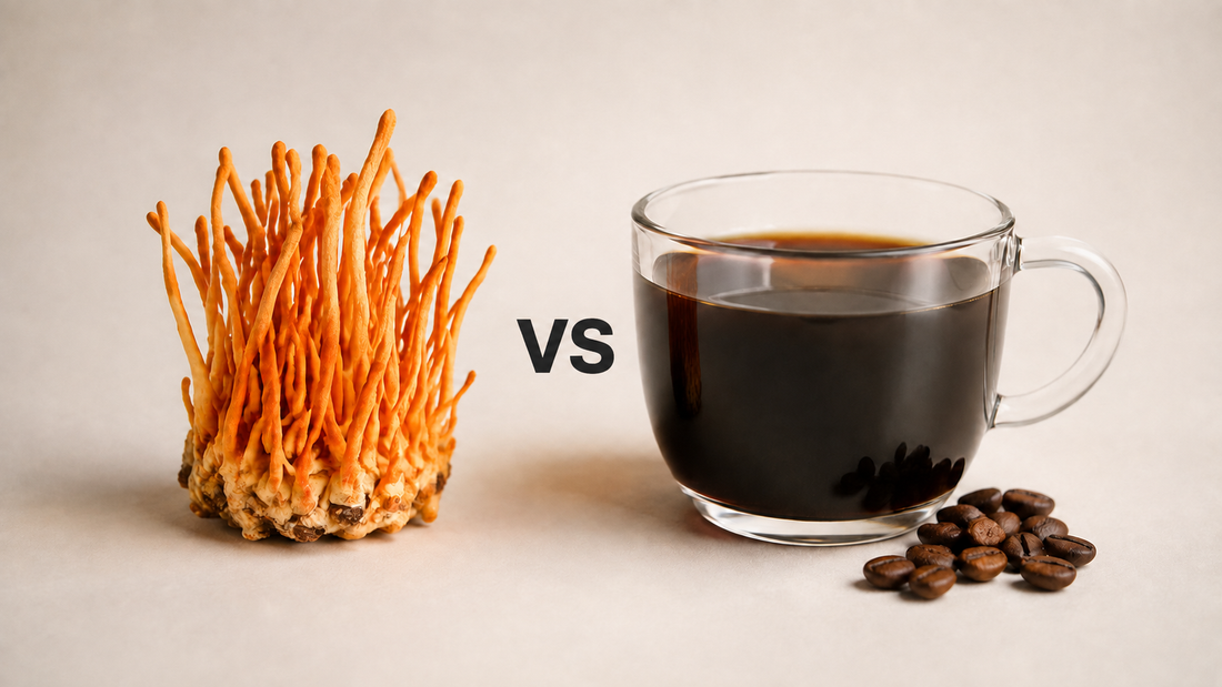 cordyceps mushrooms vs caffeine